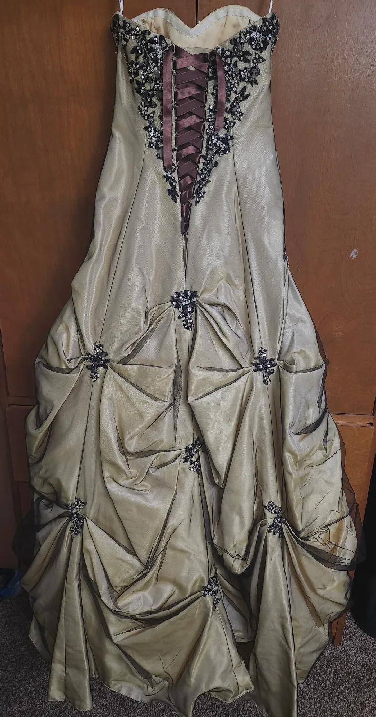 Prom Dress image indicator(2)