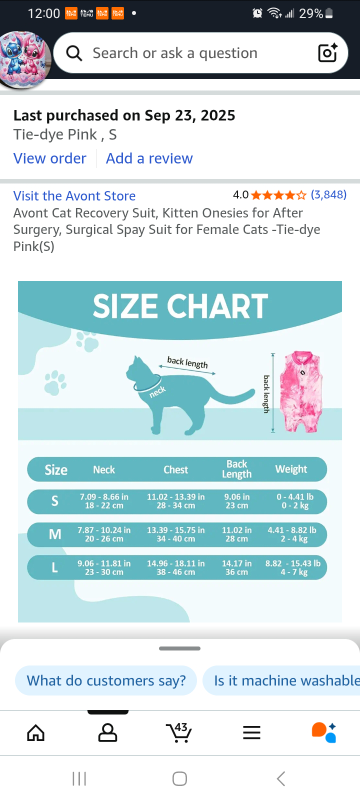 kitten surgical recovery bodysuit