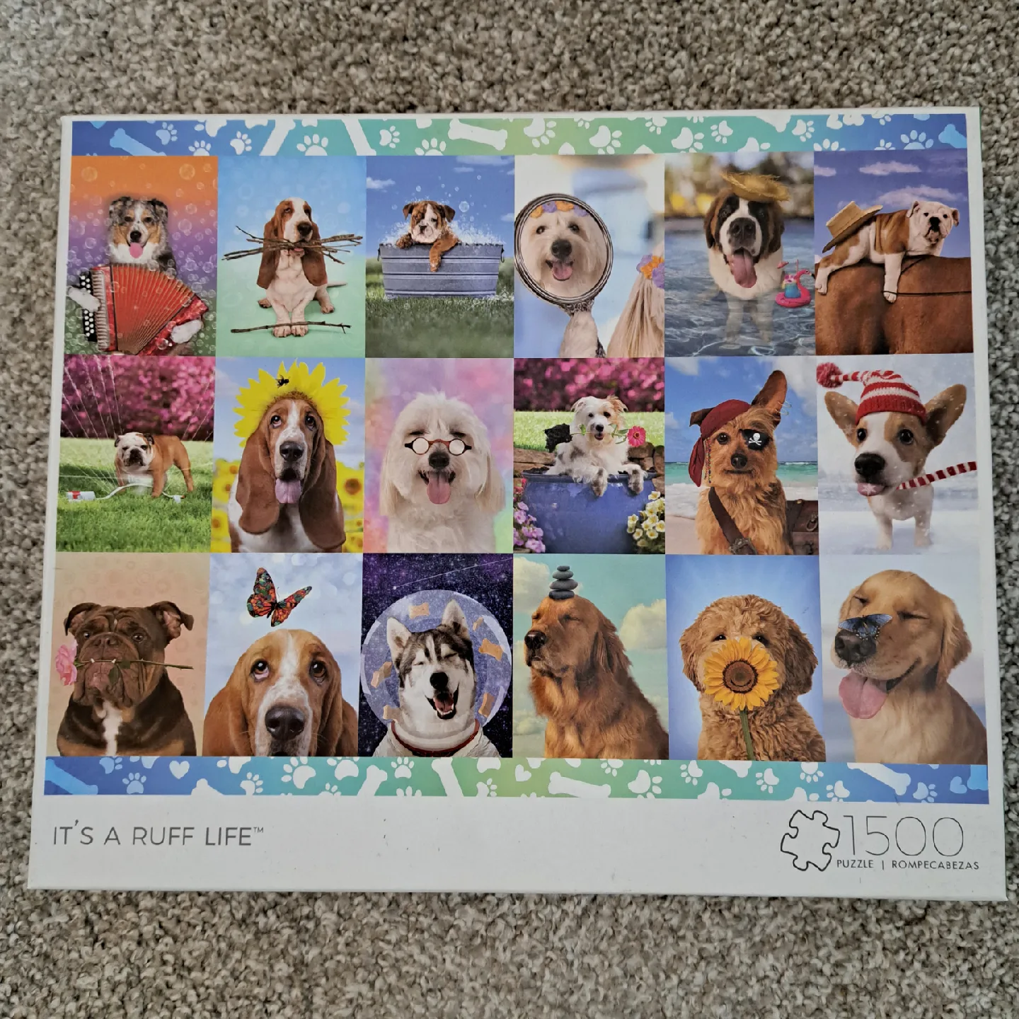 Jigsaw Puzzles - Lot of 5 - willing to sell separately image indicator(5)