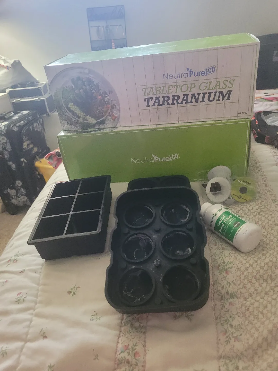garden growing kit