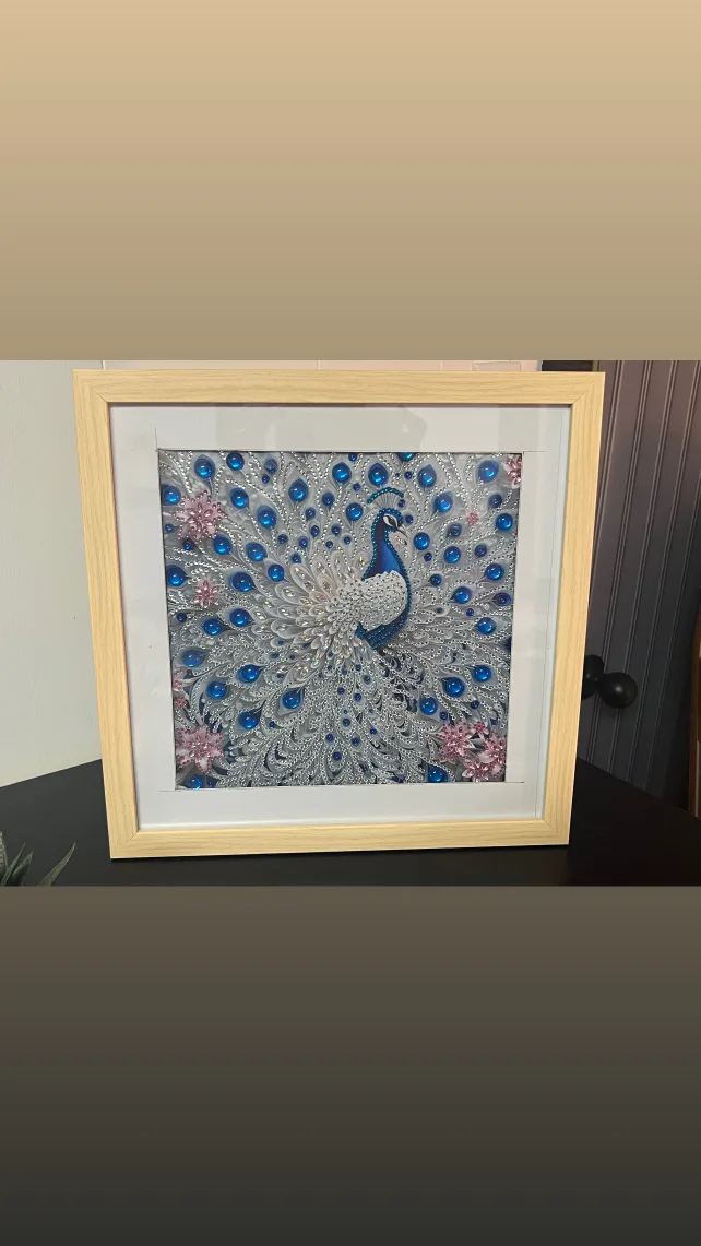 Diamond Art Painting image indicator(6)