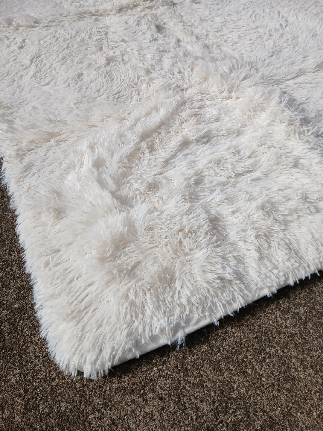 White Shaggy Rug image indicator(2)