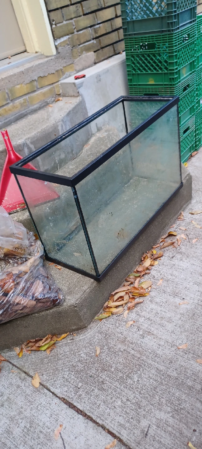 Glass ReptileTank