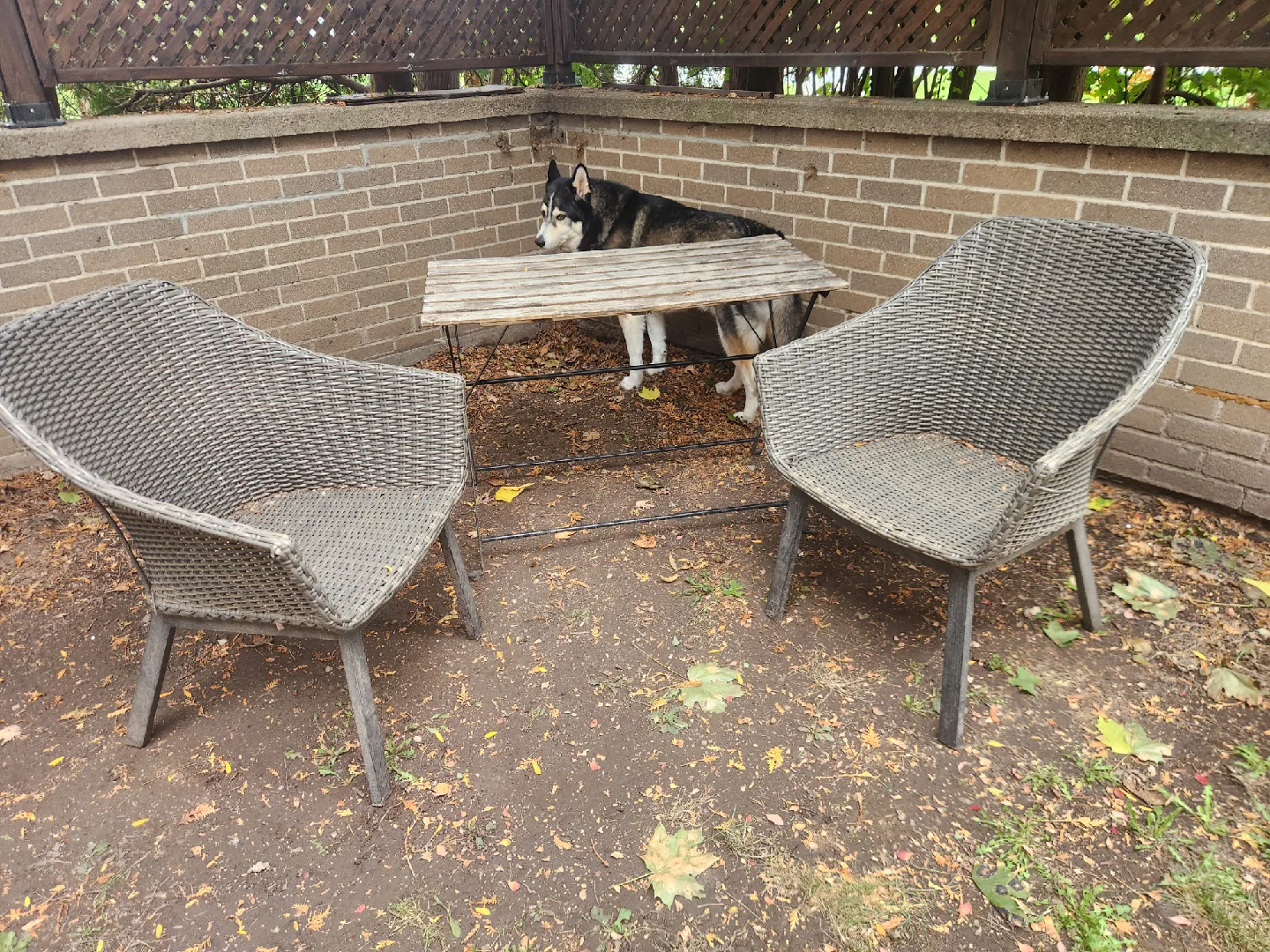Outdoor Wicker Chairs & Table Set thumbnail