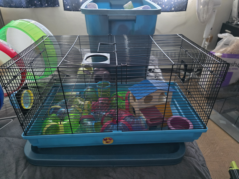 Cage with Accessories