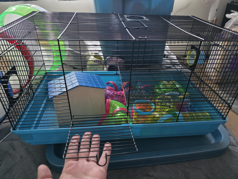 Cage with Accessories - photo 2