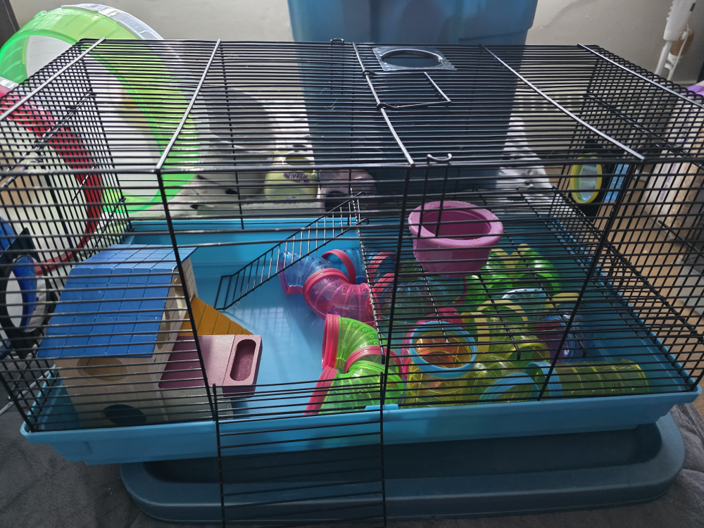 Cage with Accessories - photo 3