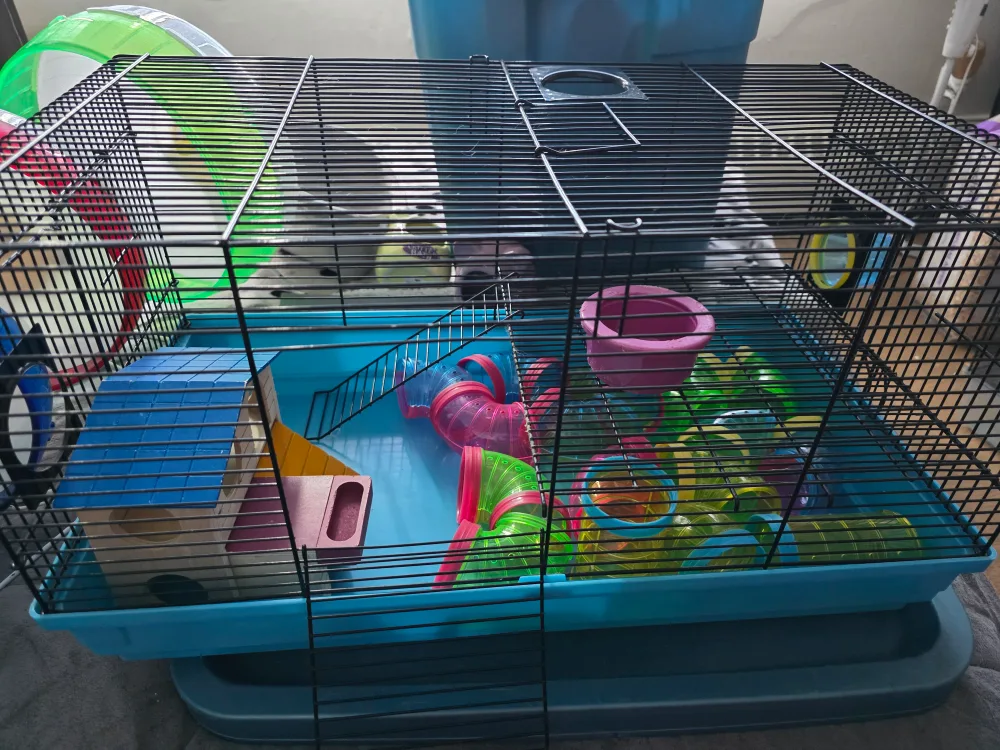 Cage with Accessories image indicator(3)