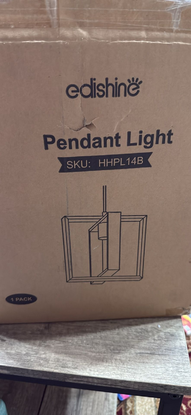 Edishine Pendant Light - HHPL14B - photo 2