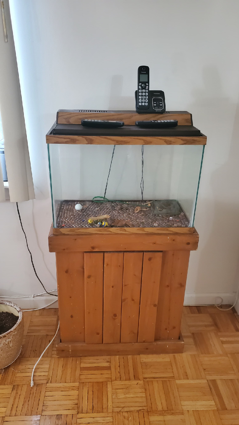 Fish tank with wooden stand
