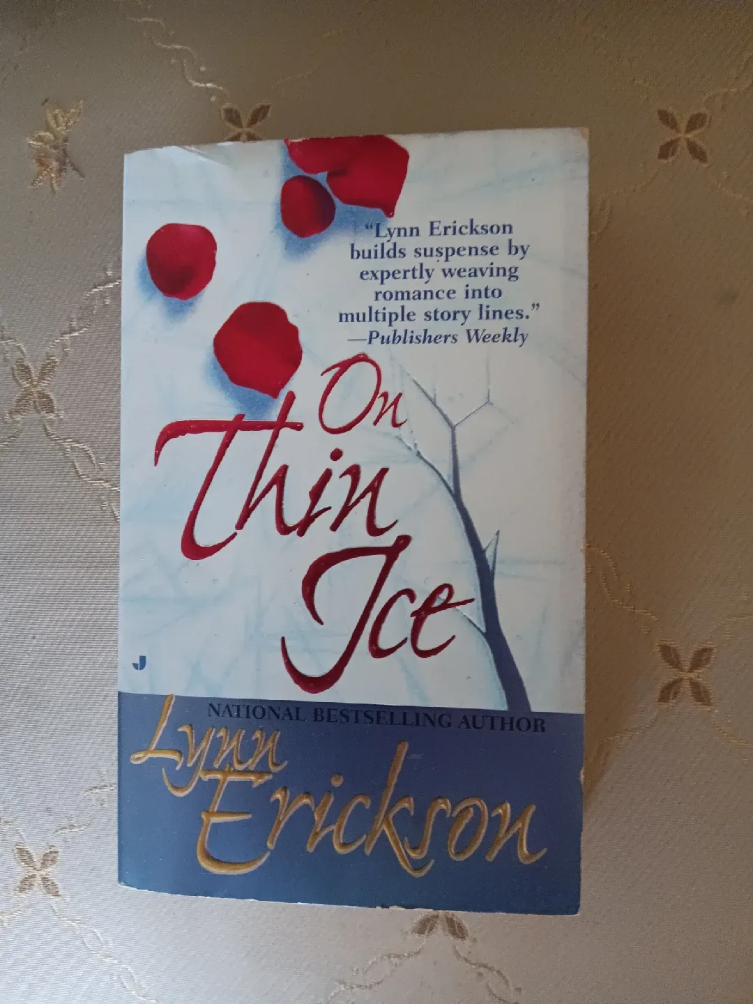 On Thin Ice by Lynn Erickson thumbnail