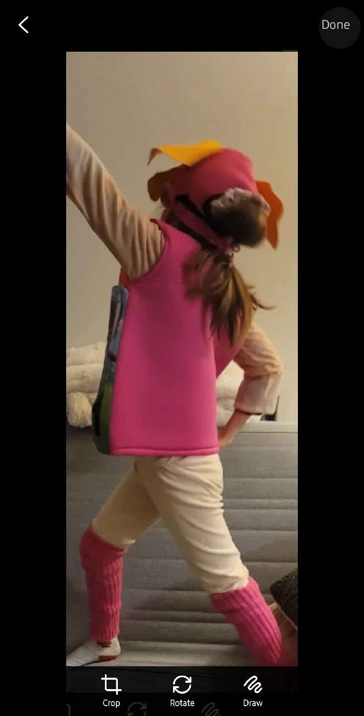 Paw Patrol Skye Costume - Size Small image indicator(2)