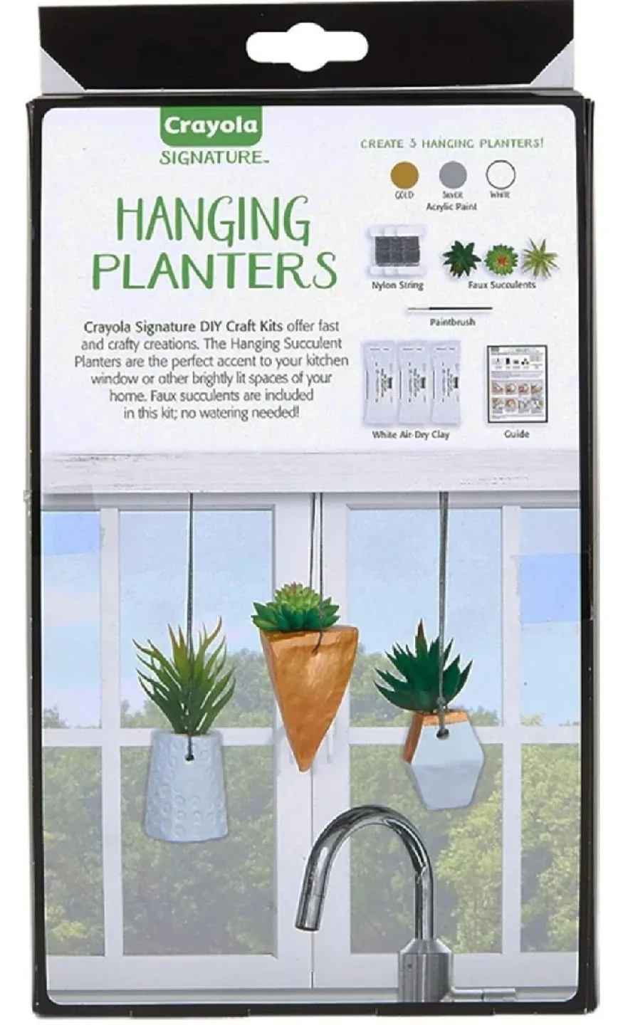 Crayola Signature Hanging Planters DIY Craft Kit image indicator(2)