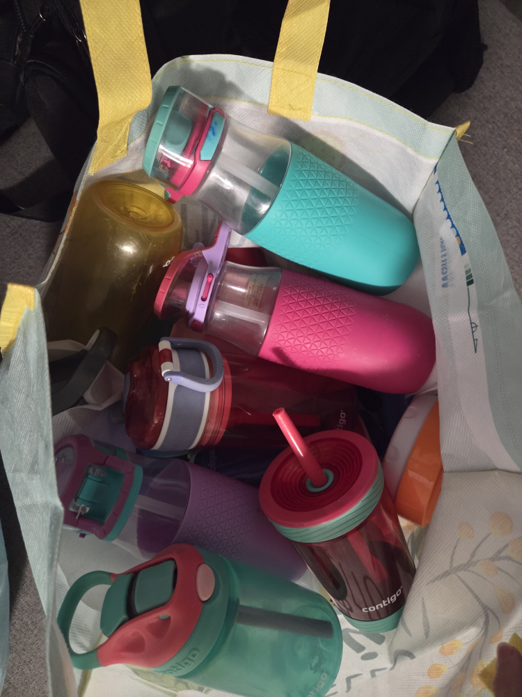 Contigo Kids Water Bottles - Various Colours