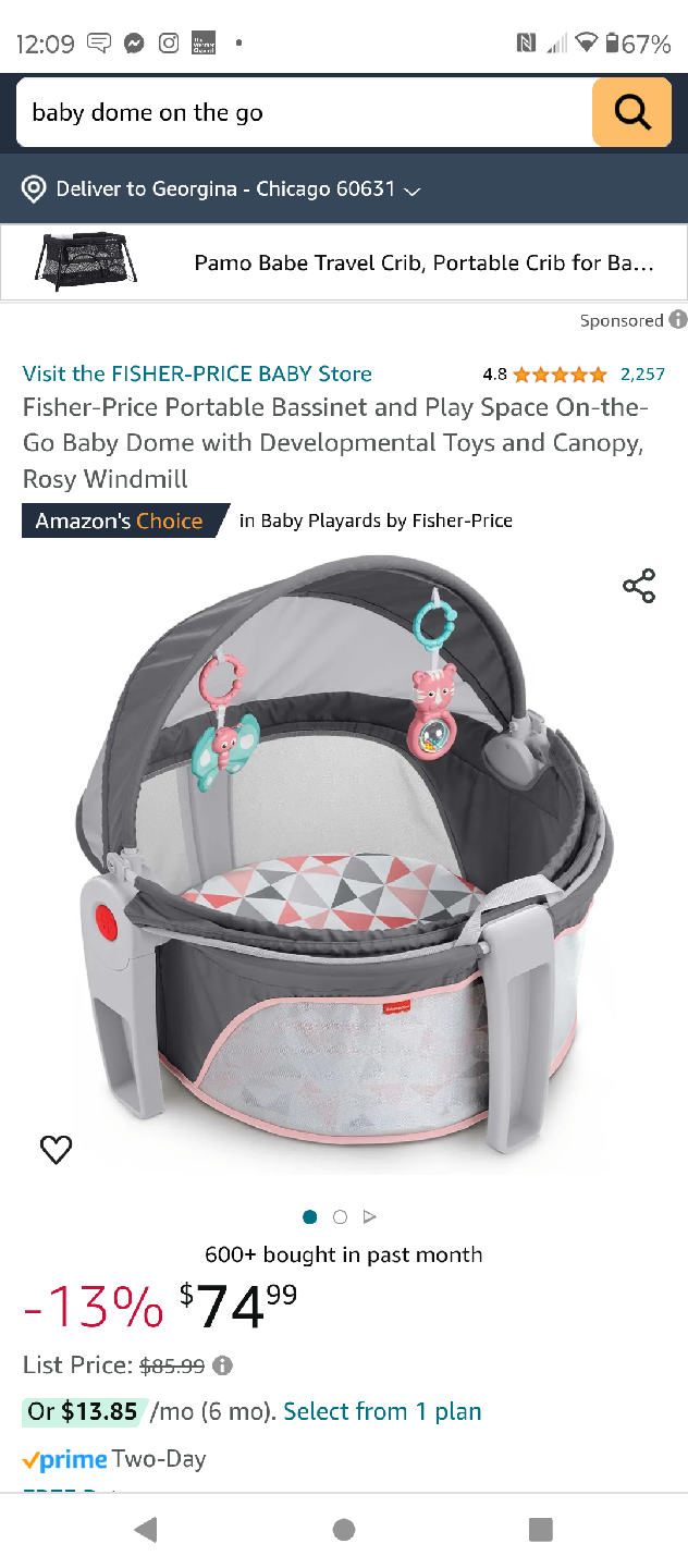 Fisher-Price On-the-Go Baby Dome Bassinet