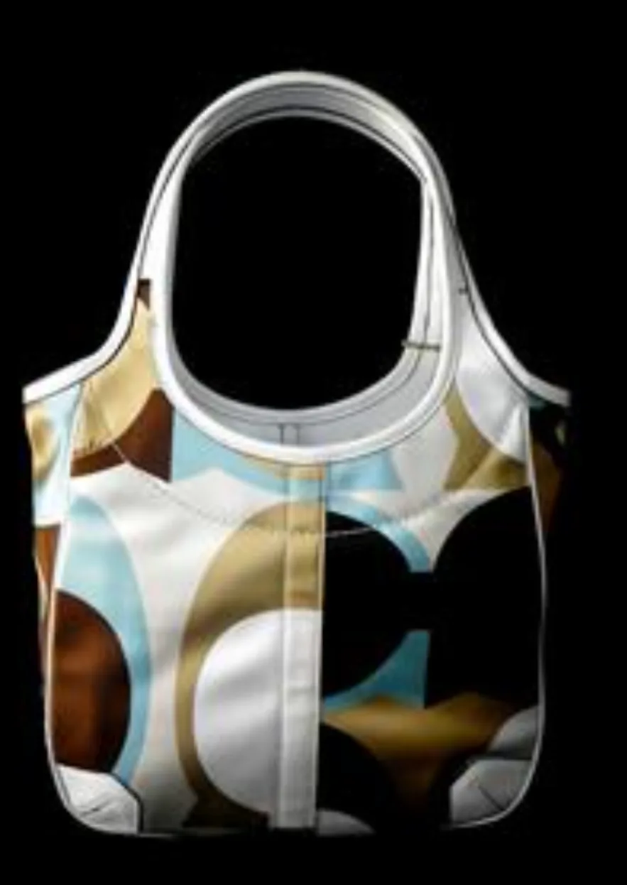 Coach Ergo Signature Satchel Purse image indicator(2)