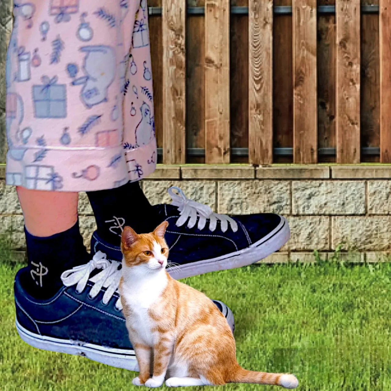 Nawazo Black Ankle Socks  3pairs image indicator(7)