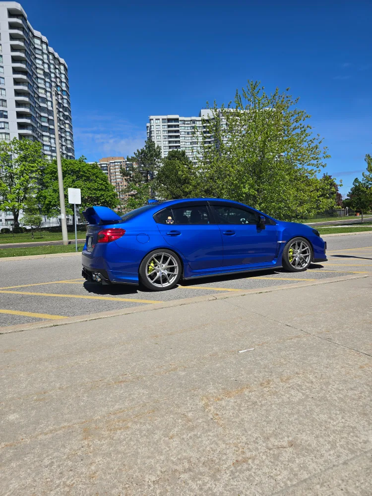 2015-2021 STI OEM Struts with Swift Lowering spring image indicator(7)