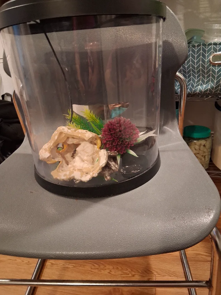 Fish or Turtle aquarium GC image indicator(2)