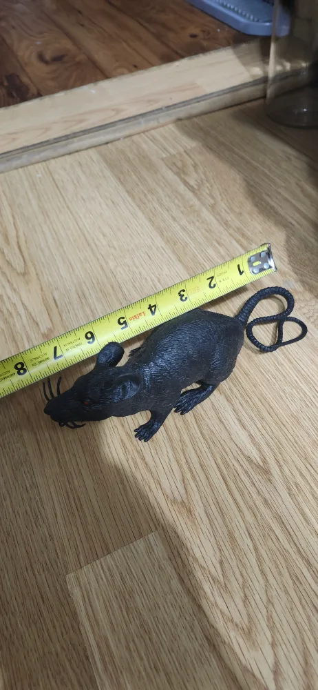 Black Halloween Decoration 🐀 Rat - 7 Inches image indicator(5)