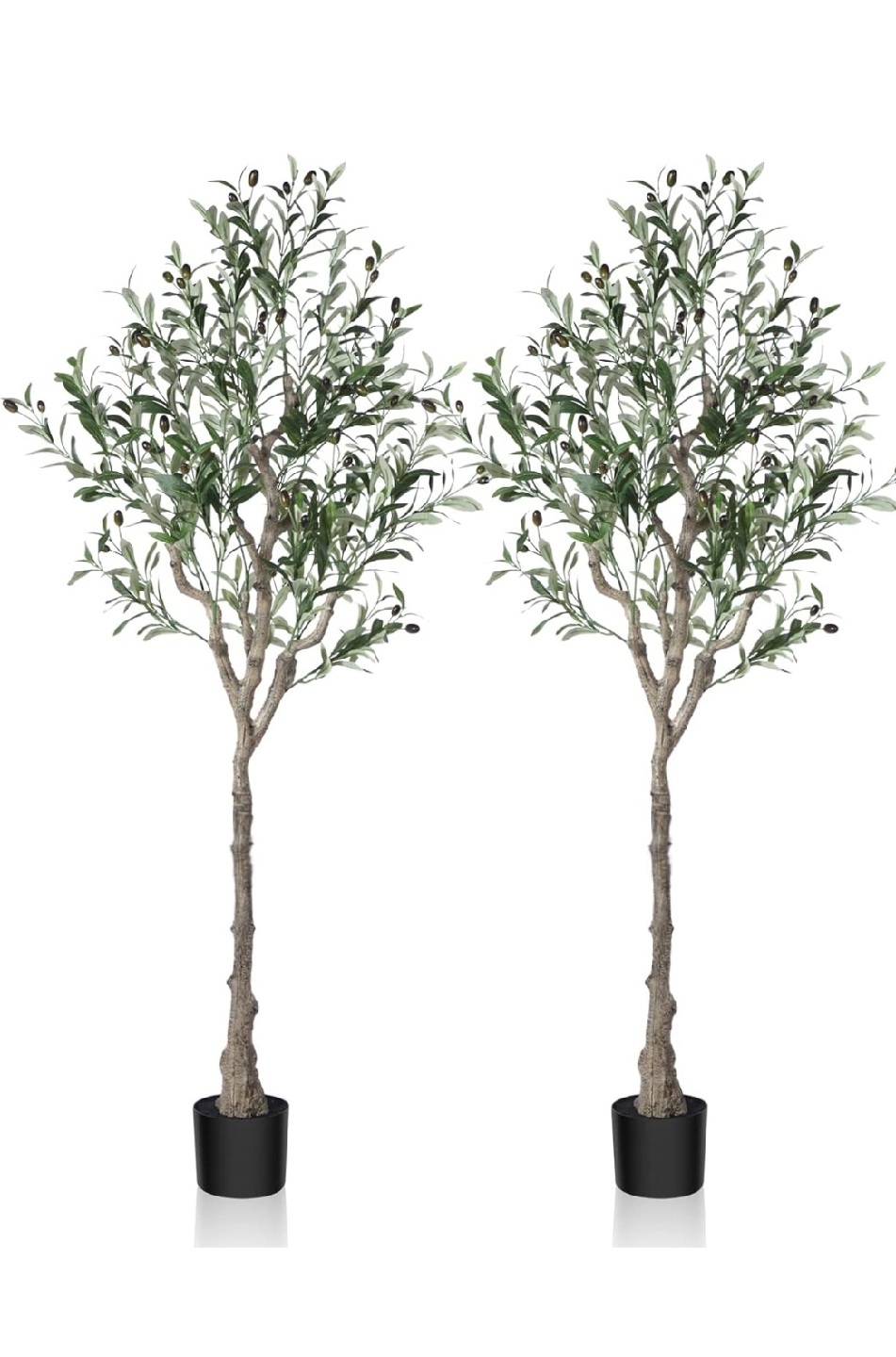 5ft Faux Olive Tree - set of 2