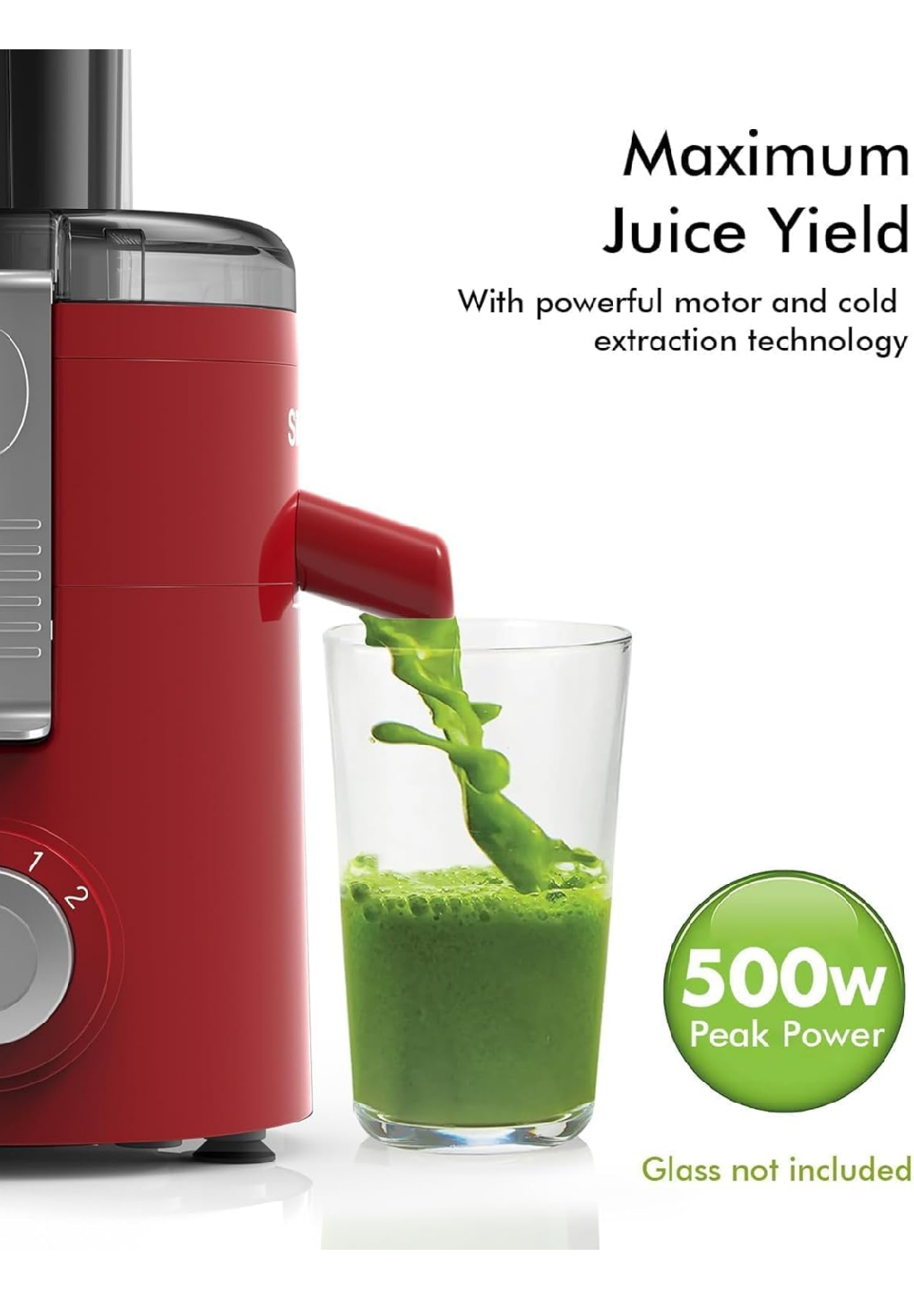 Slow Juicer for cold-press juicing
