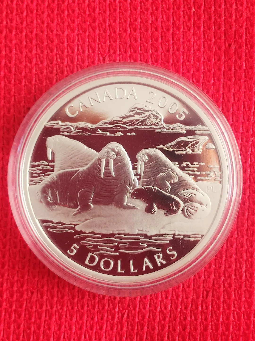 2005 Canada $5  Fine Silver Coin - Walruses  .9999 image indicator(3)