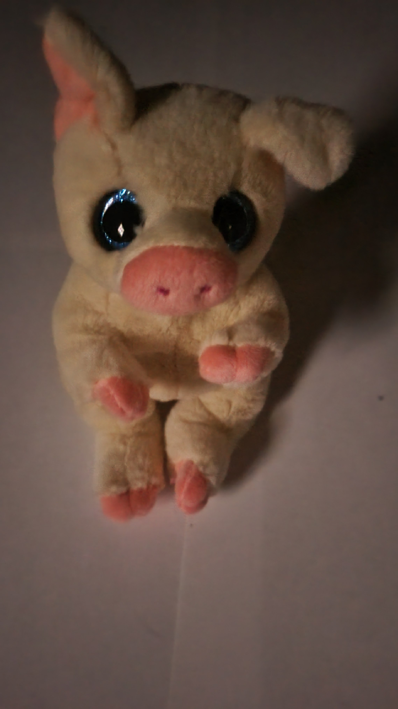 Cute Pig Plush Toy