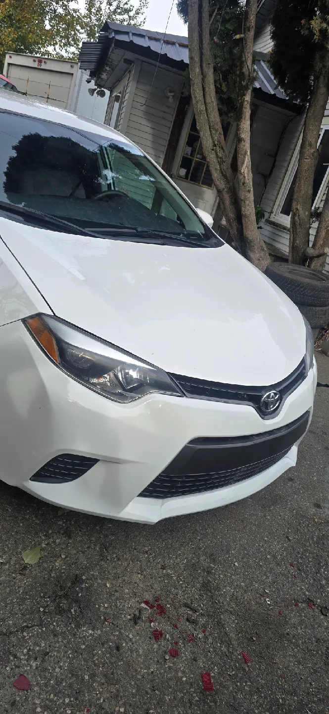 White Toyota Corolla LE image indicator(4)