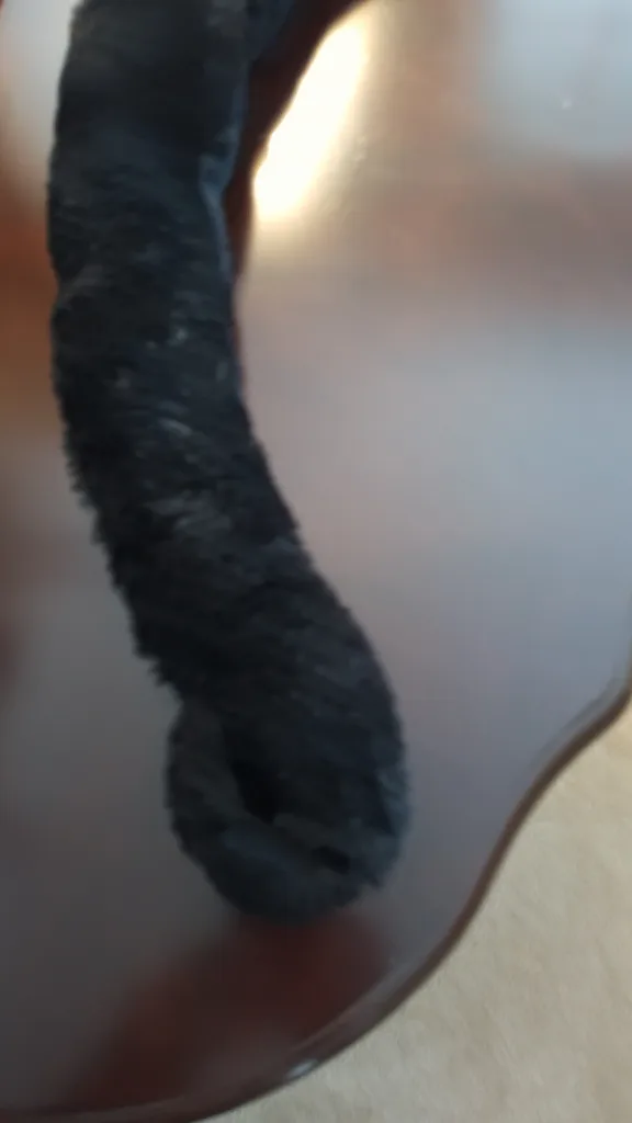 Faux Fur Tail - Black & Pink image indicator(2)