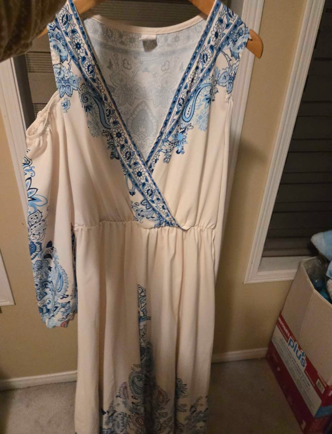 Cream & Blue Paisley Maxi Dress