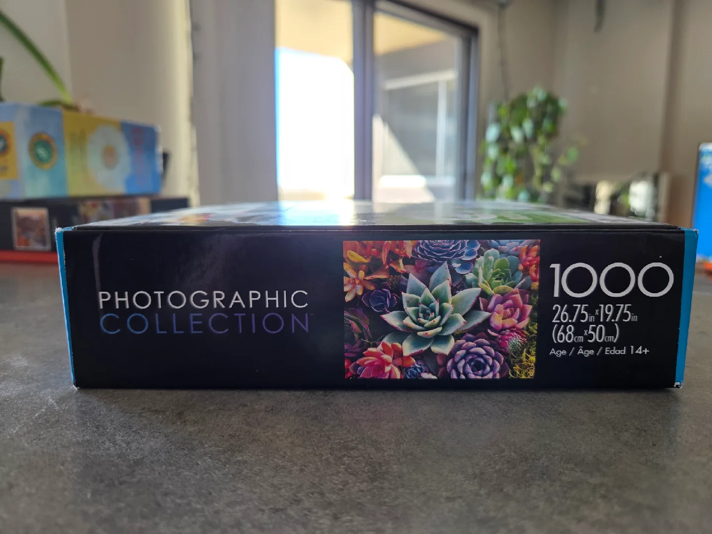 Simple Succulents 1000 Piece Puzzle by Buffalo Games&Puzzles 🥕 image indicator(2)