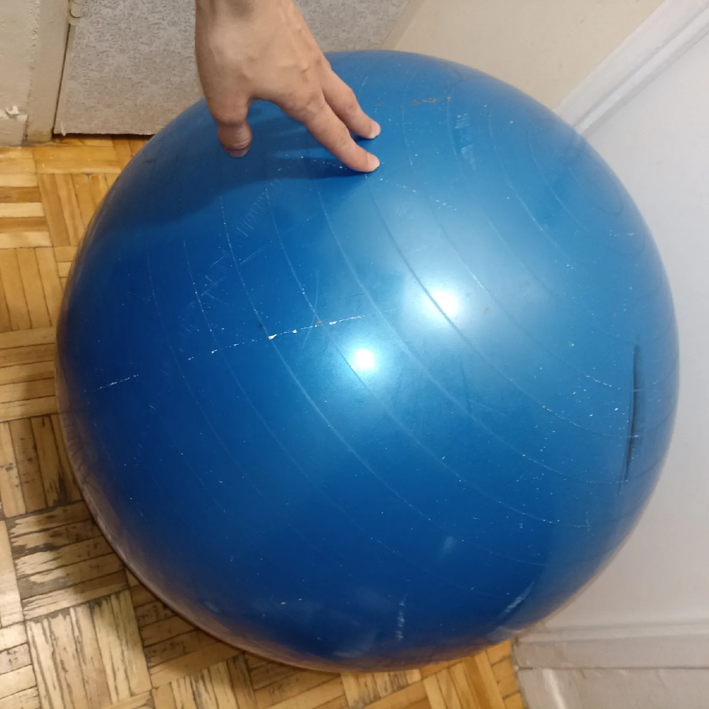 ‼️Moving Sale‼️Blue Exercise Ball image indicator(2)