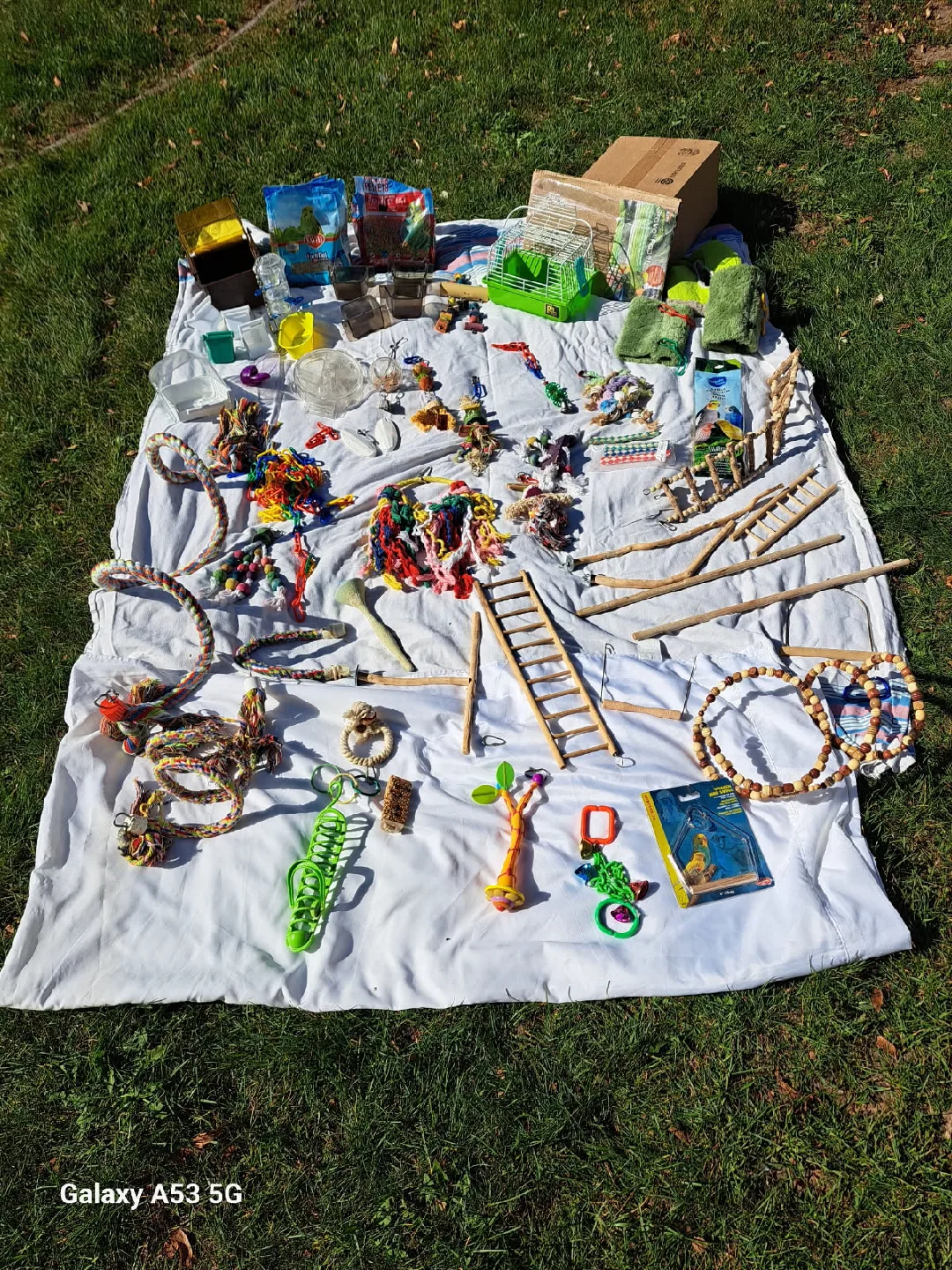 Bird Cage stand and Accessories image indicator(4)