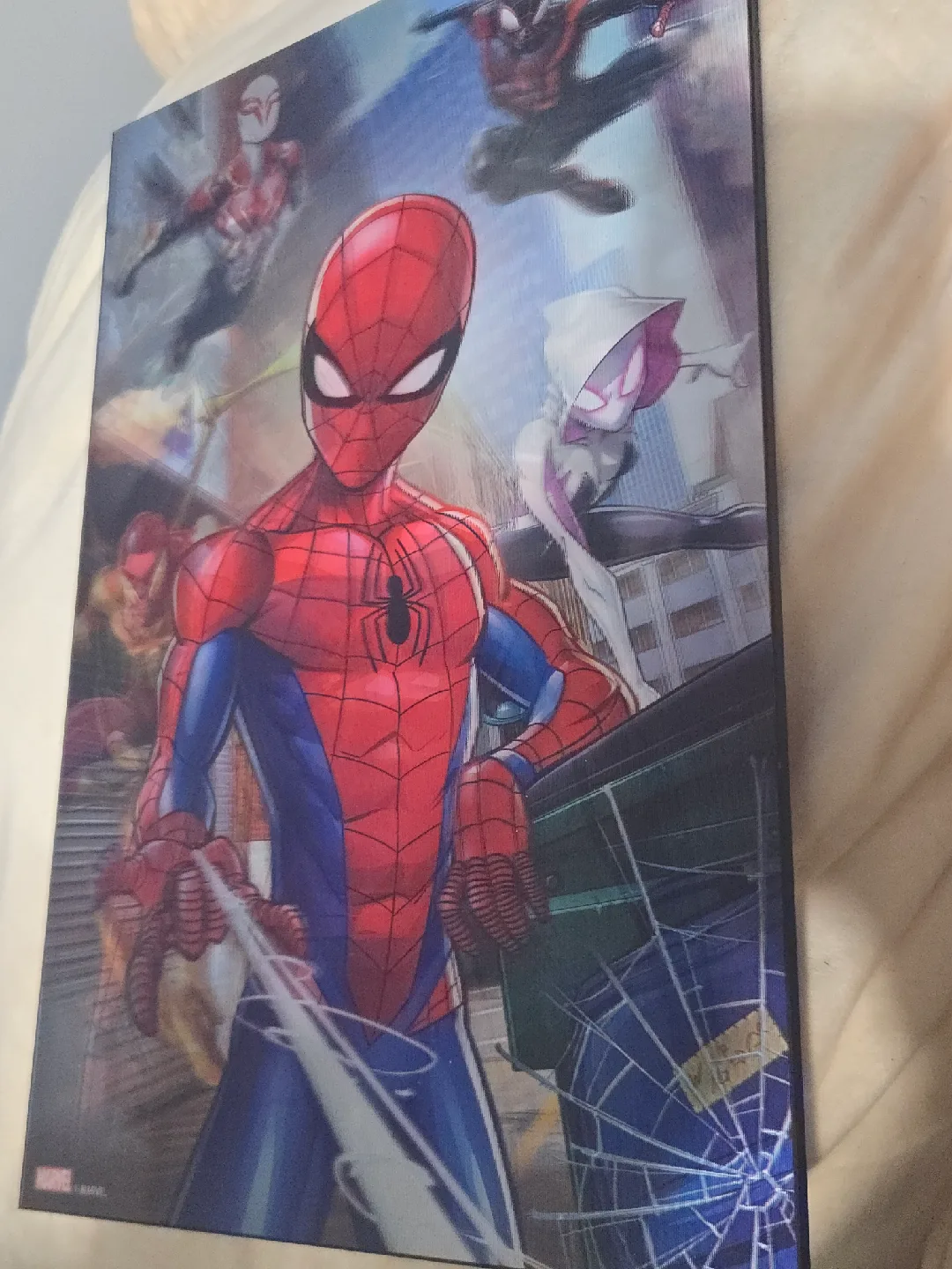 Marvel Spider-Man Canvas Wall Art image indicator(2)