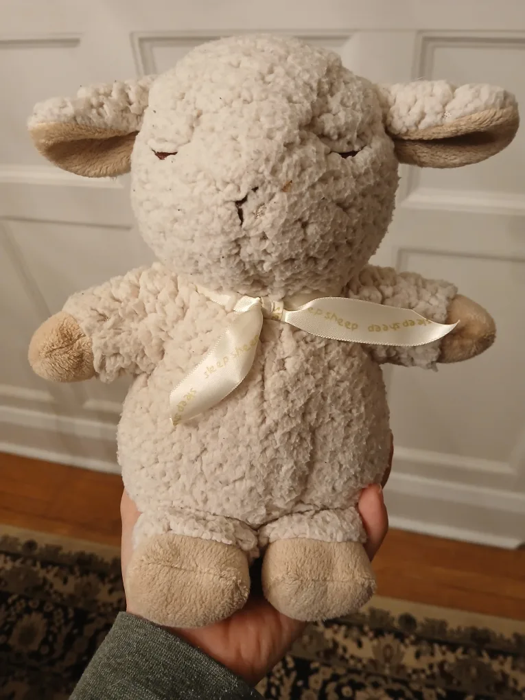 Travel Sleep Sheep thumbnail
