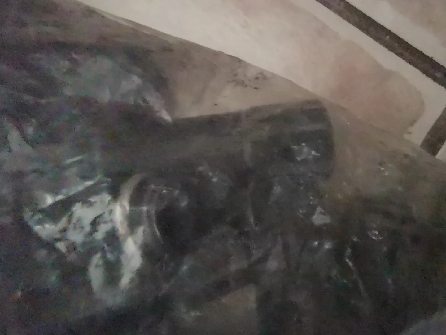 Aftermarket wheel nuts with key image indicator(2)