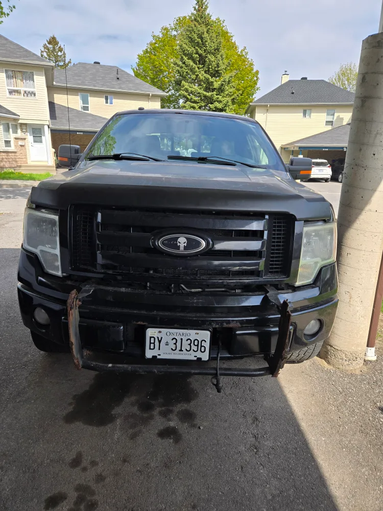 2010 fordf150 image indicator(2)