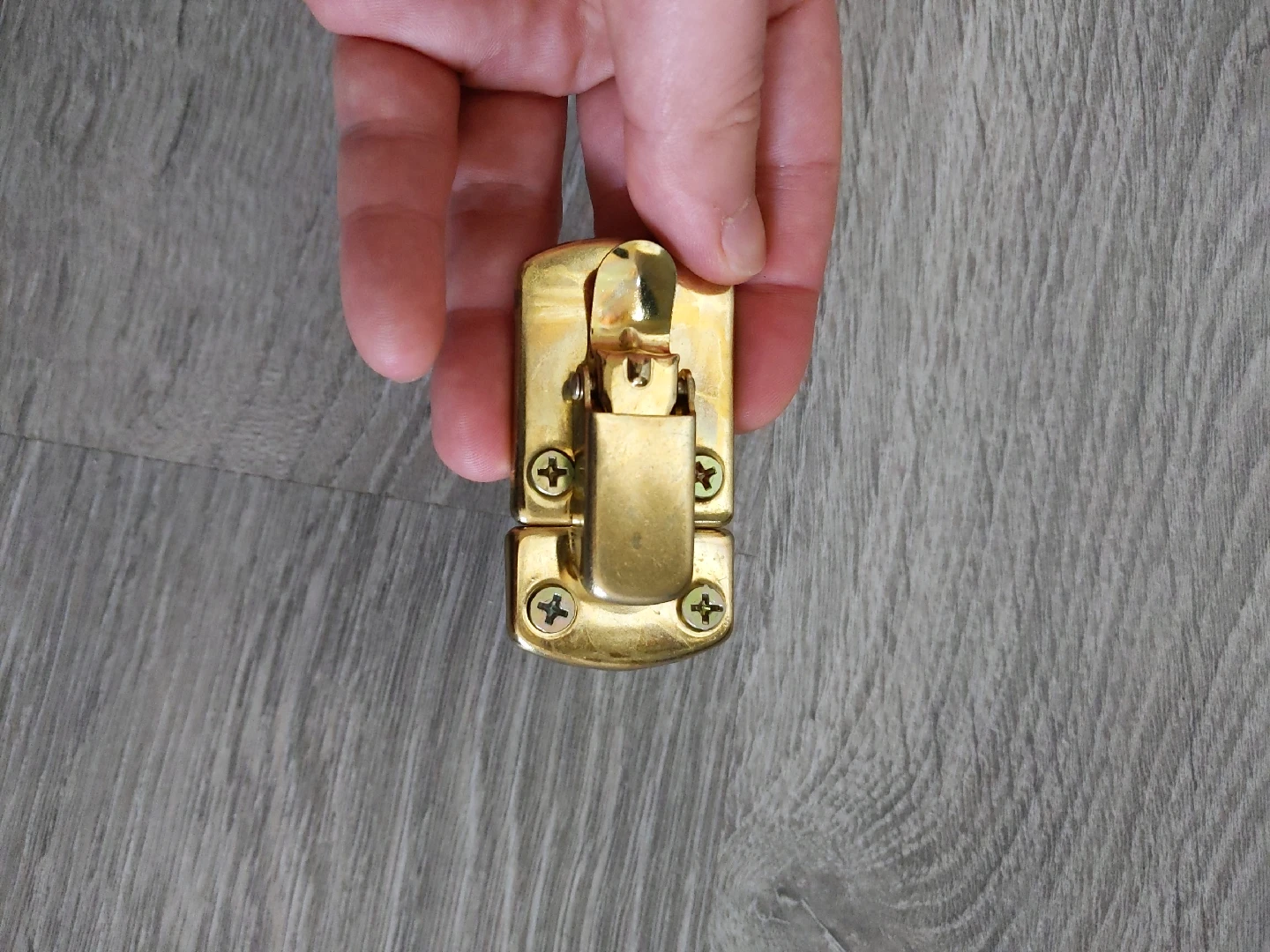 Brass Plated Box Latch