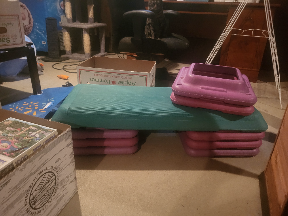 Aerobic Step Platform with Risers