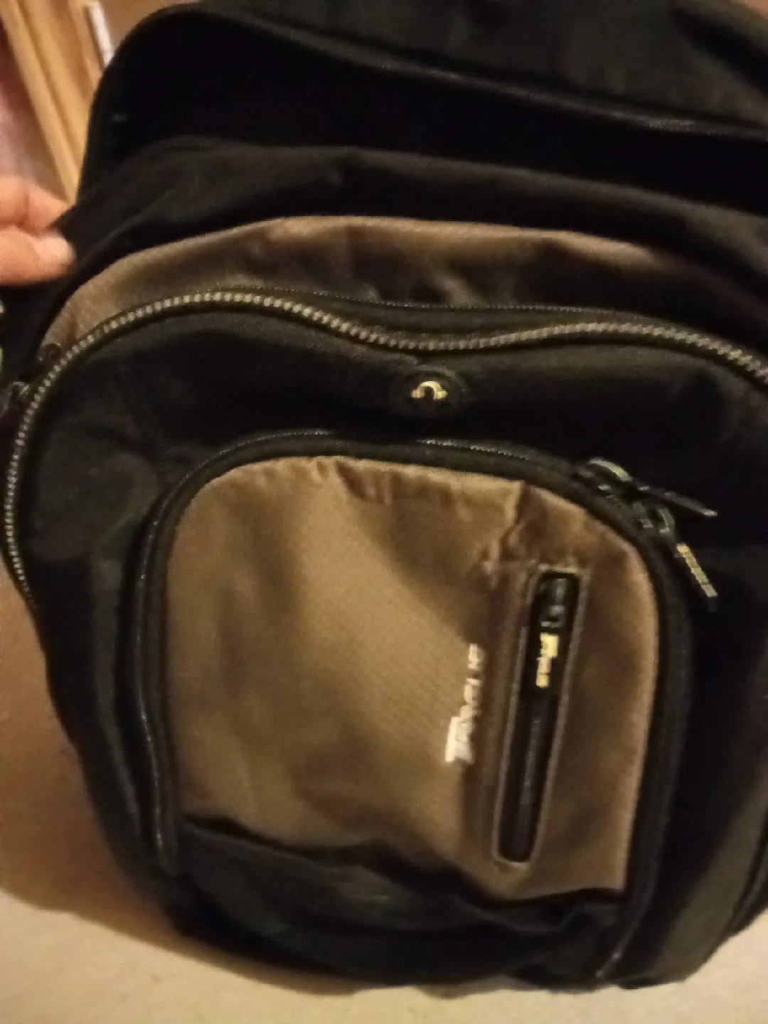 Targus Laptop Backpack image indicator(3)