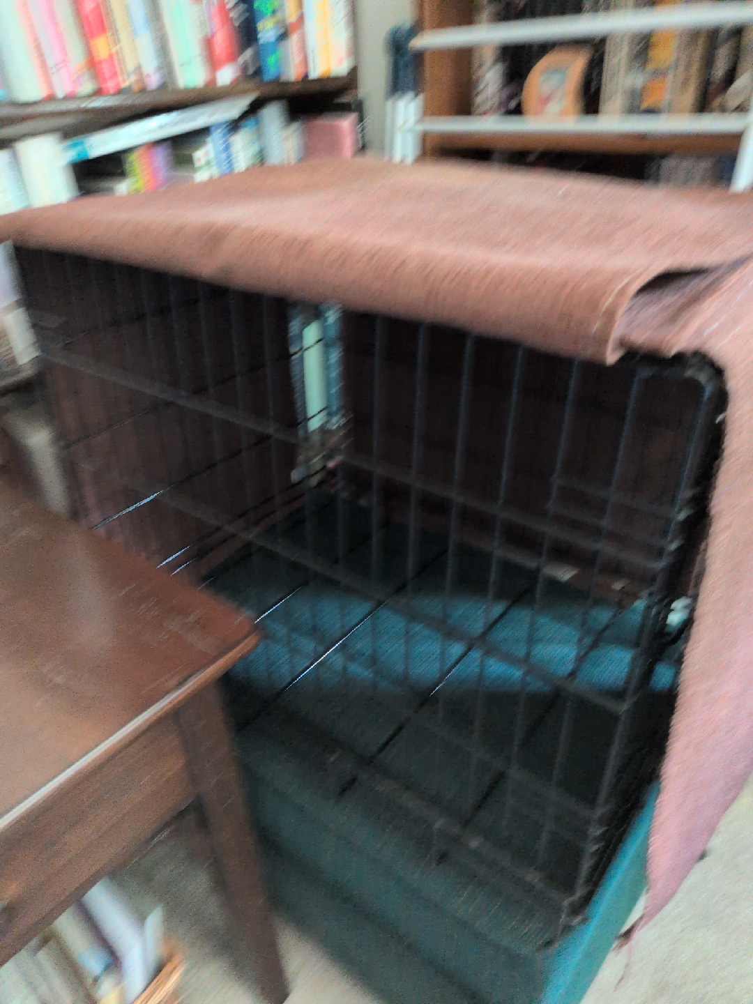 Precision Pet Products Dog Crate (Dimensions incl)