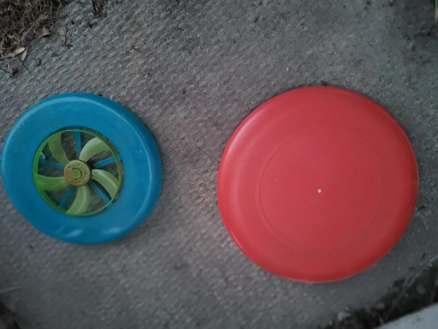 Two Frisbees - Blue & Red