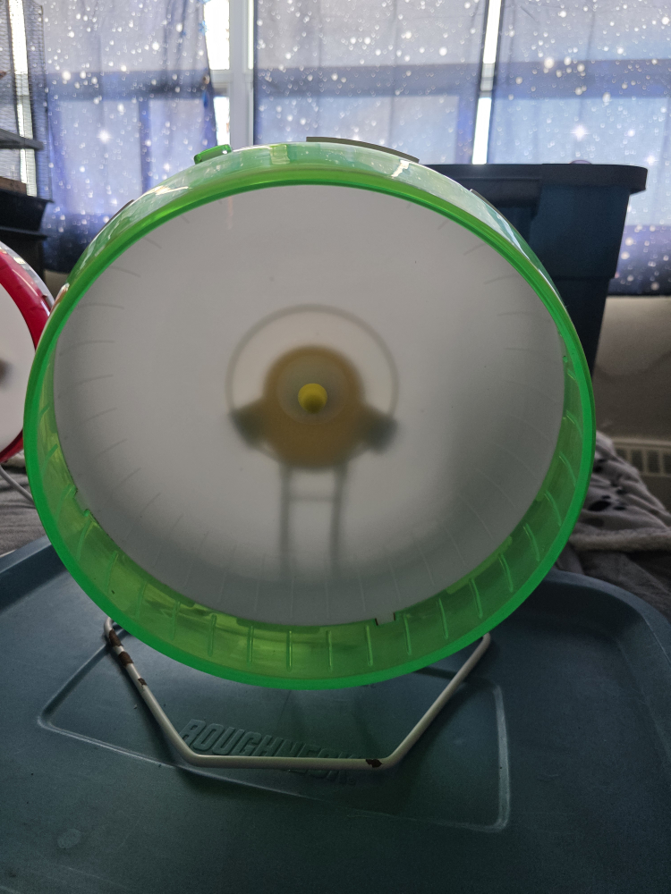 12" Kaytee Silent Spinner Hamster Wheel