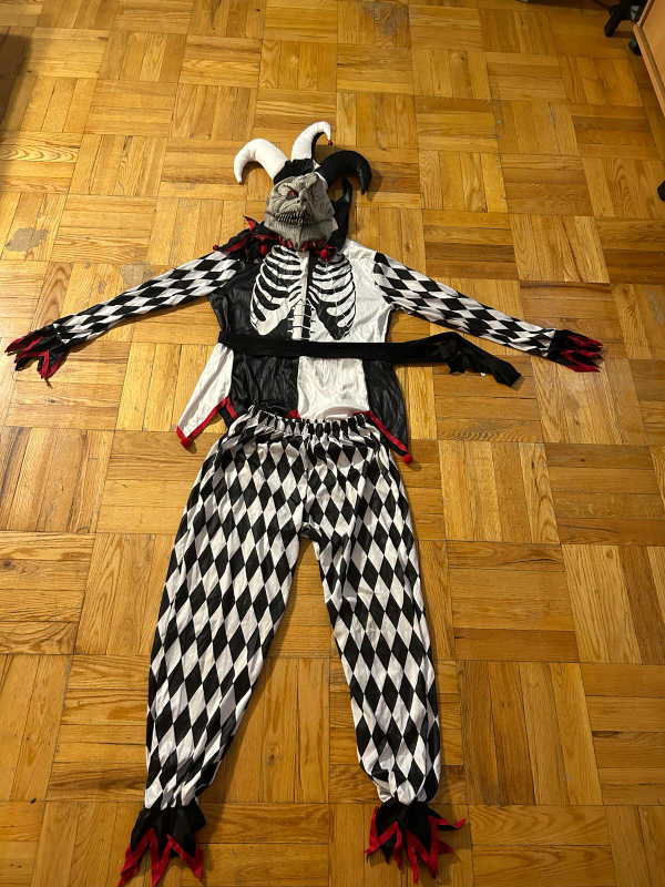Harlequin Jester Costume