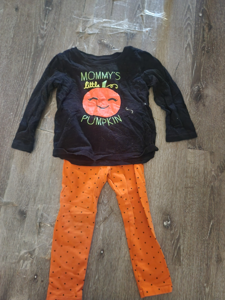 Children's Place 3T Halloween Outfit