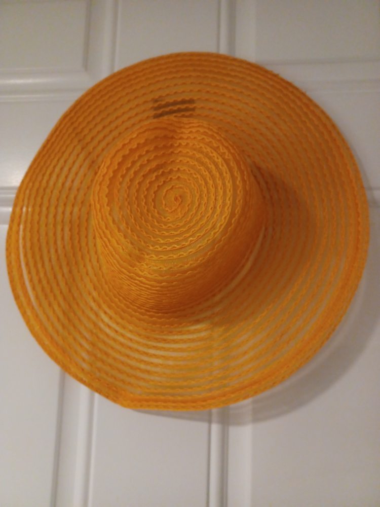 Assorted Women's Hats - photo 3