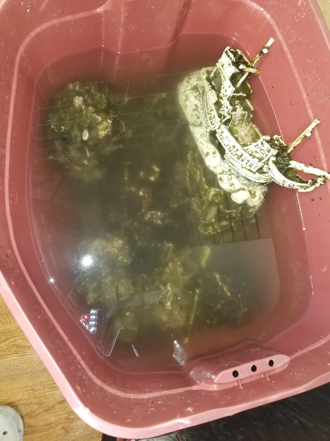 fish tank for sale image indicator(3)