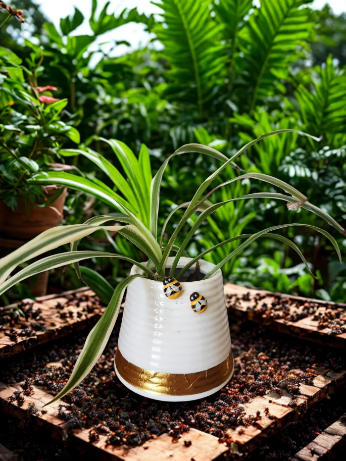 upcycled honey pot into planter with spider plant thumbnail