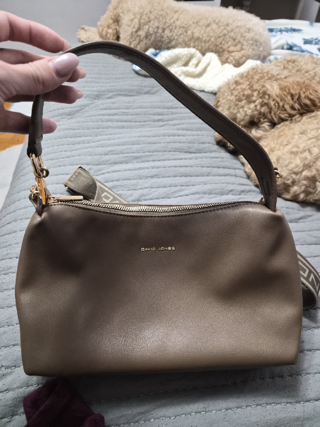 David Jones Shoulder Bag - Taupe Colour